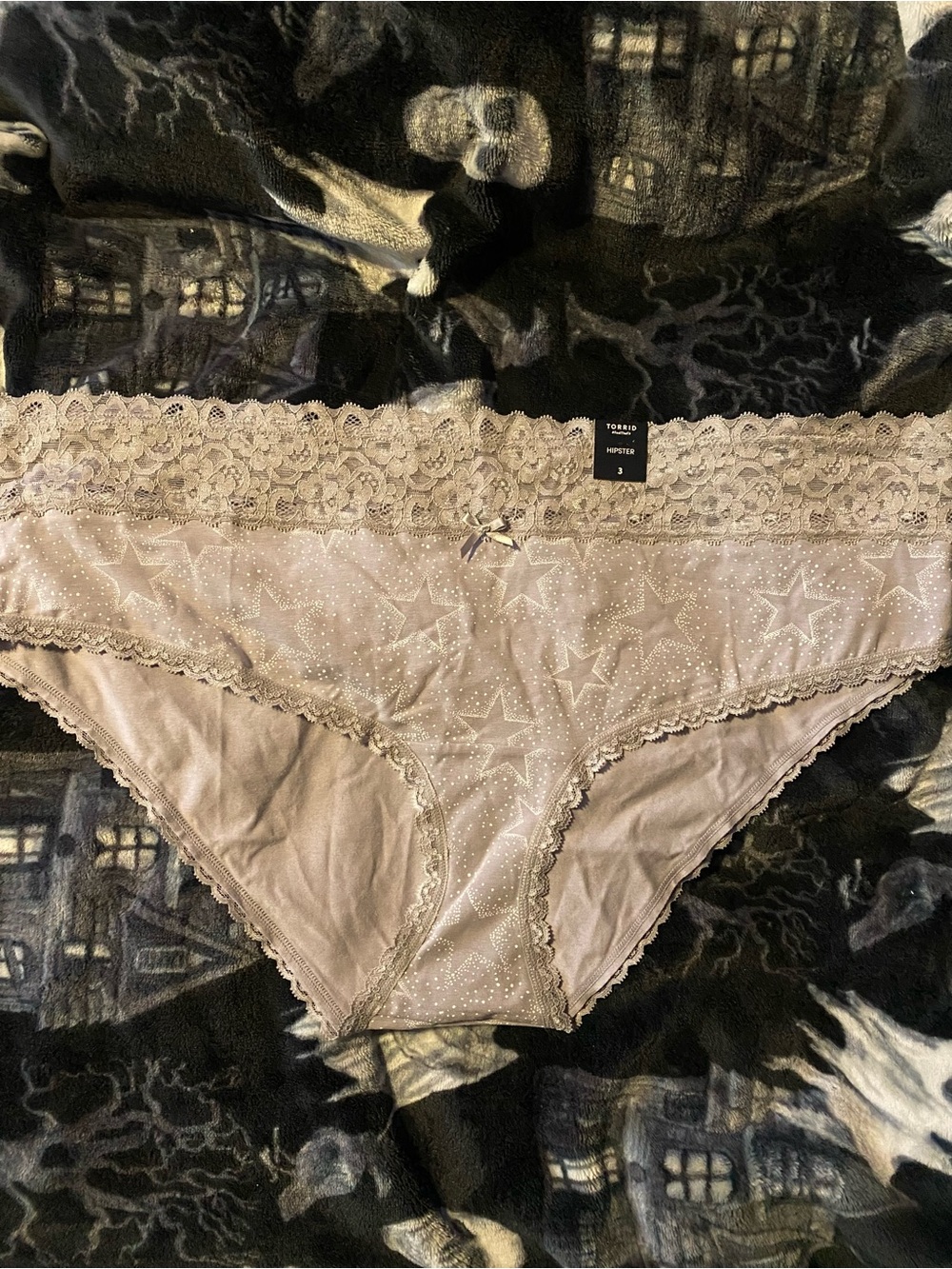 Torrid Hipser Panty